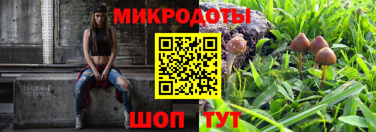 купить закладку  Вход с VPN  Галлюциногенные грибы Psilocybine cubensis  Белореченск  Псилоцибиновые грибы прущие грибы 