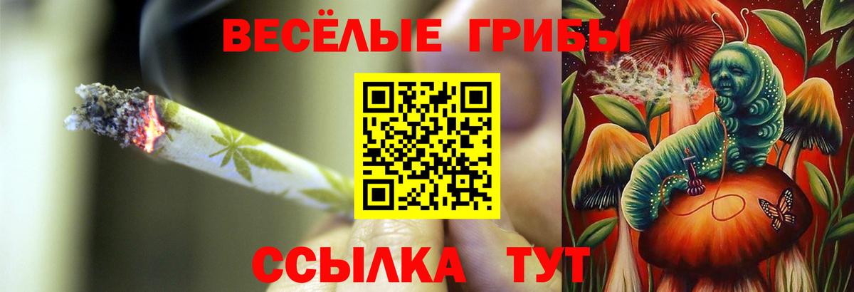 Галлюциногенные грибы прущие грибы Белореченск